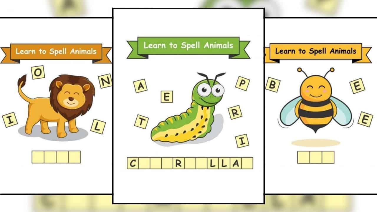 Learn to spell animal names - Teacher Tayo